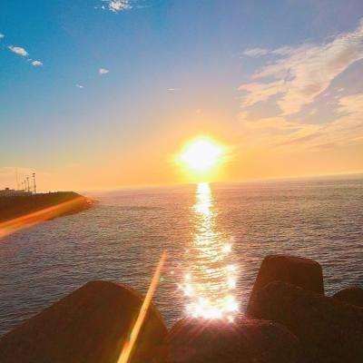 安博app官方网站